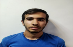 علی زارع شاهی