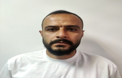 سینا مطلوب