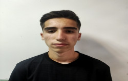 سینا محمدی