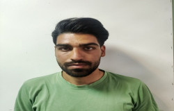 علیرضا حسنی