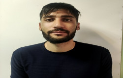 آریا داودی