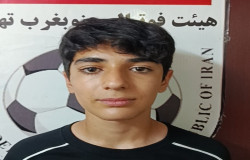 ایلیا آرامش