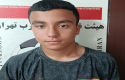 محمدمهدی فاضلی