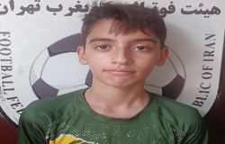 شاهین شارعی