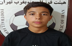 محمدمتین نصیبی