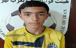 محمدحسین فروتنی