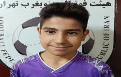 محمد پارسا سیفی
