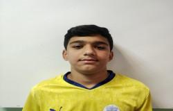 محمد حسين حبيبي مولان