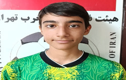 سید پارسا میری حیران