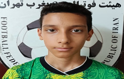 حسین شاملو