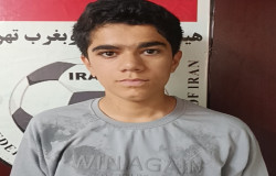 امیرمحمد امانی