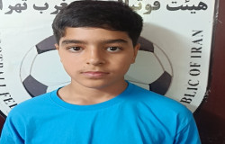 رضا شفیعی