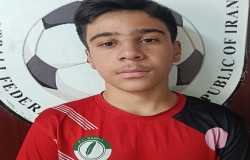 سید امیرحسین نقیبی