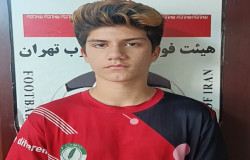 مهیار محمدی حاجی آقا