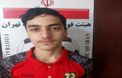 مانی گودرزی