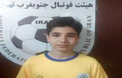 پارسا محمودی