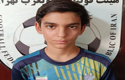 محمد پارسا میر