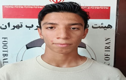 امیرمهدی زارعی