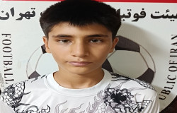 بهنام زلفی