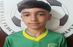 امیرحسام فهیمی