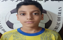 محمدحسام فراهانی