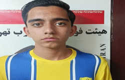 ایلیا دلفانی
