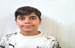 محمد امین آقا بزرگی