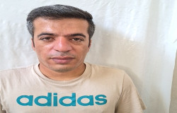 علیرضا دولت ابادی