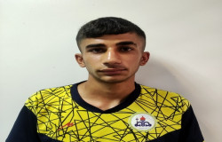 علی قربانی