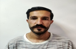 پوریا امیری