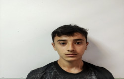 محمد آرین گشایش