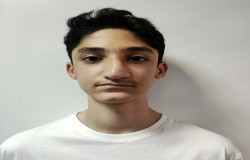 فرنام فردوسی
