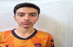 فربد علی زاده گلارلو