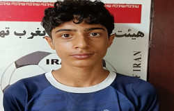 بردیا پهلوان نژاد