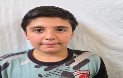 محمدمهدی پهناور