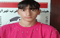 حمیدرضا هشترودی
