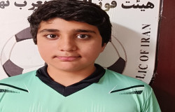 مهراد ناهیدی