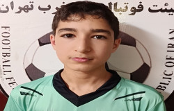 بردیا همرنگی