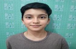 دایان اسکندر لی