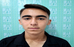 محمدحسین نعمتی فرد