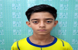 ایلیا شاهسون