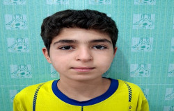 ثامن رضا زاده ارده