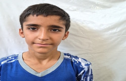 محمد جواد پیری