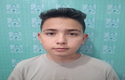محمدرضا حمزه نوی