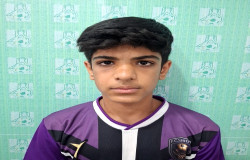 رضا افضلی