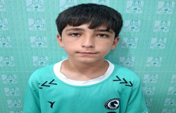 محمد امین وظیفه