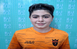 امیرحافظ آدشیرینی