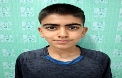 محمد امین رفعتی