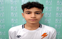 آراد شریفی