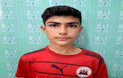 علی ولیزاده